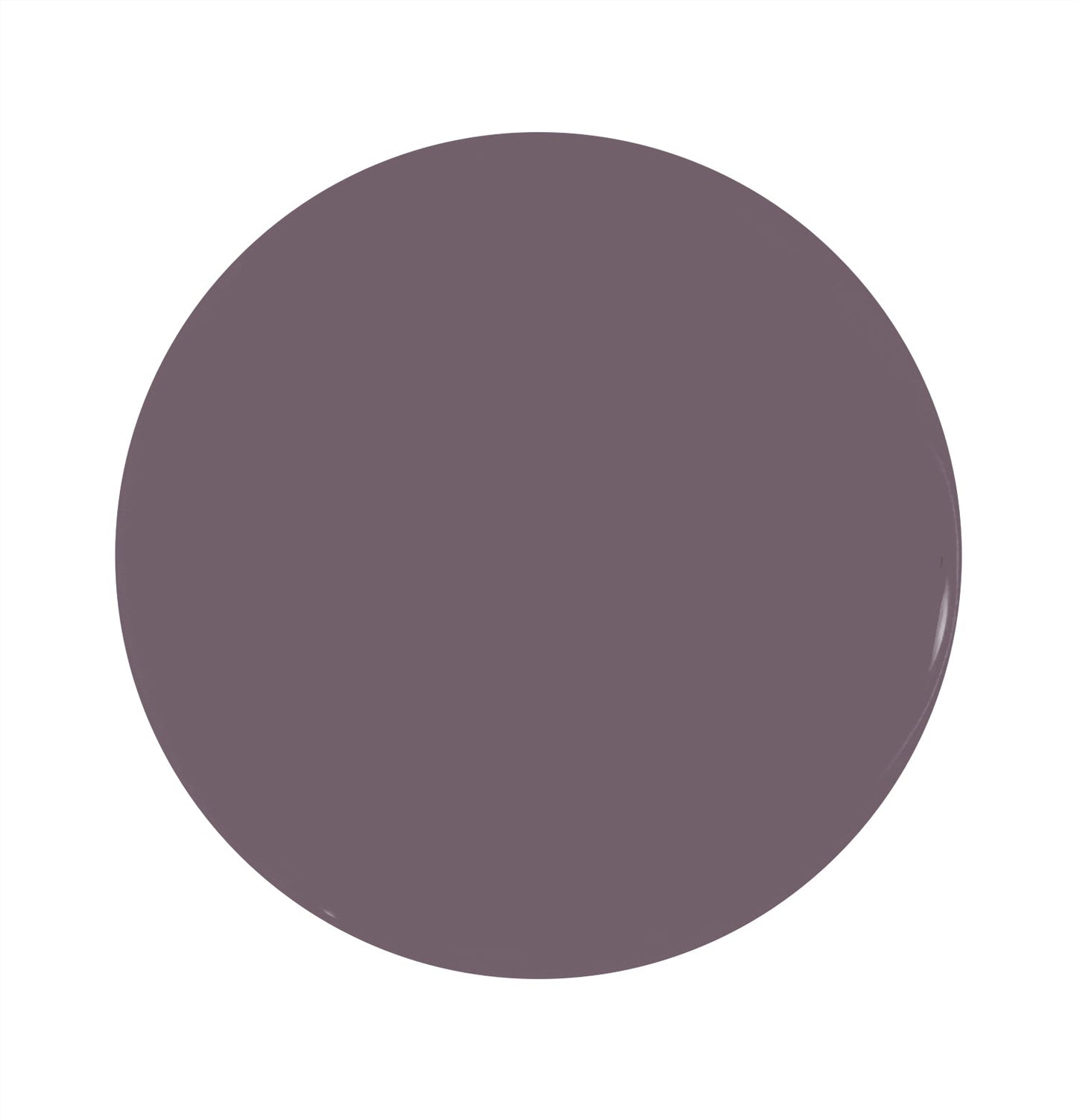 Taro