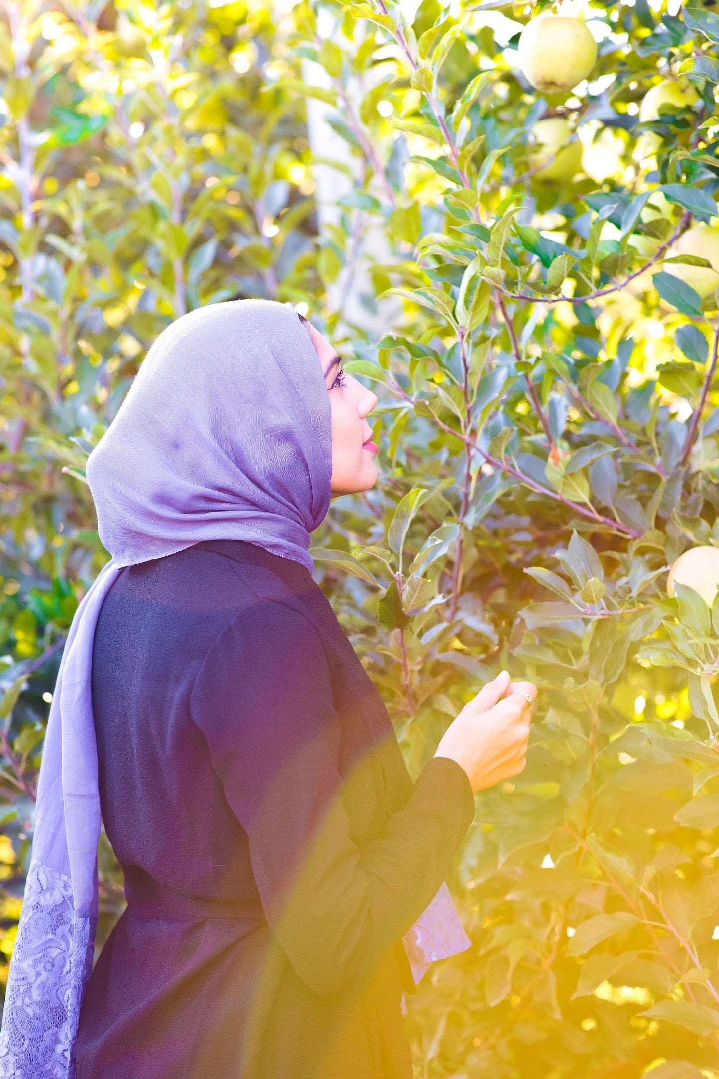 Modal Lace Hijab - Periwinkle