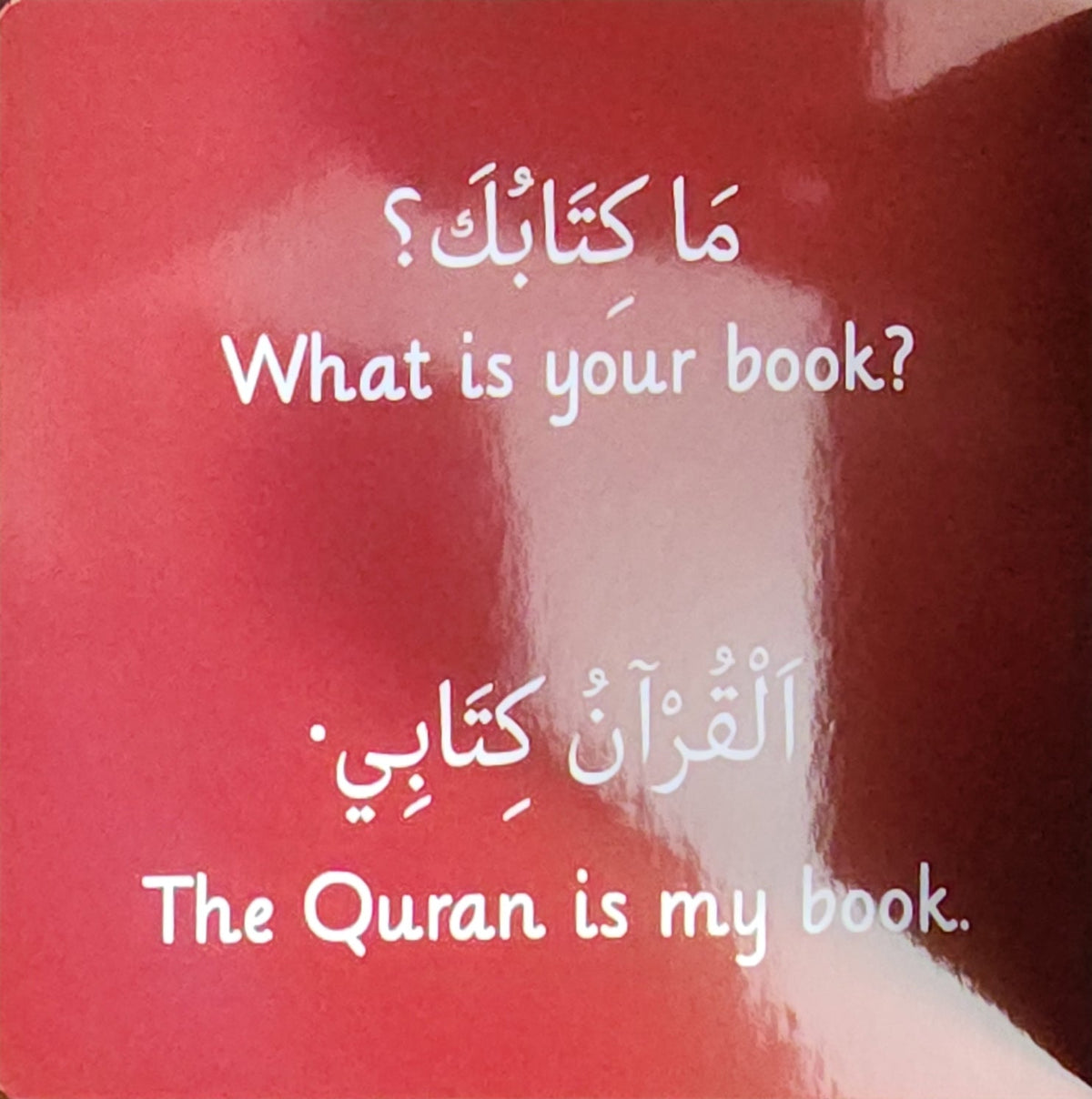 My Aqeedah – Bilingual Board Book (English and Arabic)
