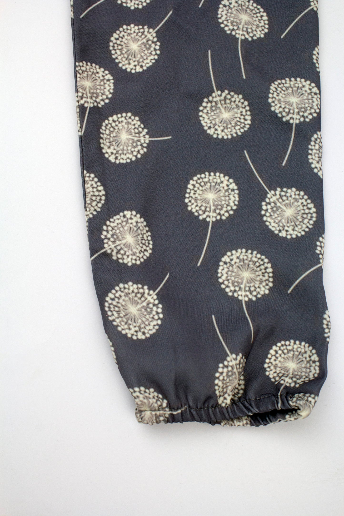 Gray Dandelion Top