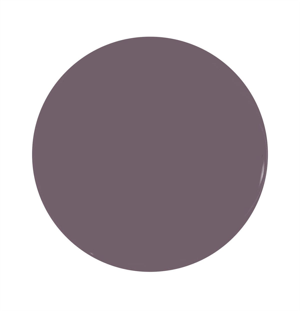 Taro